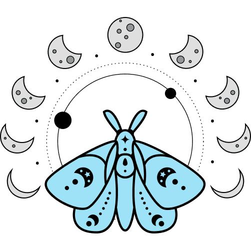 What is a Moon Sign?